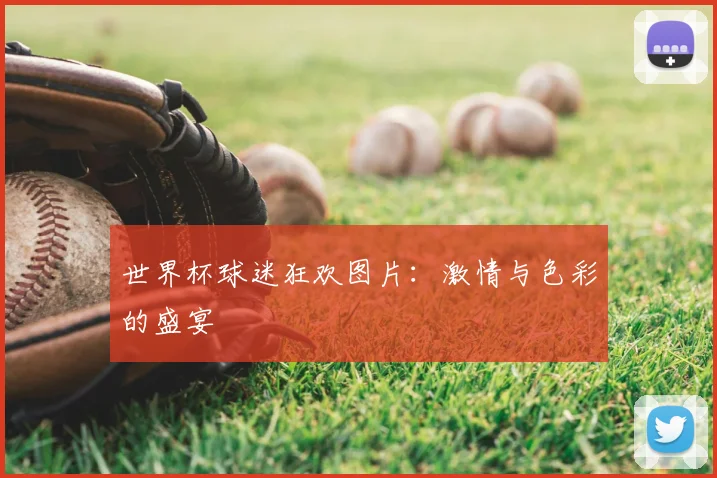 世界杯球迷狂欢图片:激情与色彩的盛宴
