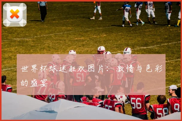世界杯球迷狂欢图片:激情与色彩的盛宴
